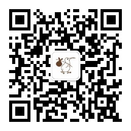 公众号二维码